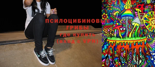 прущая мука Гусев