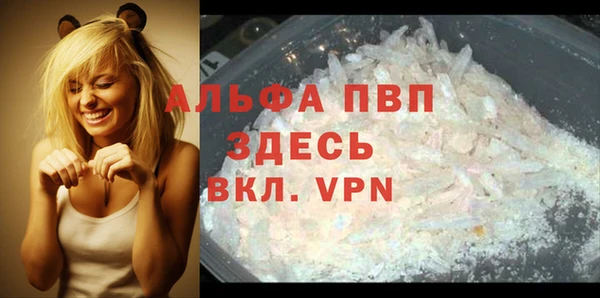 прущая мука Гусев