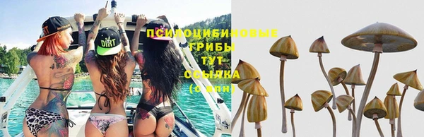 марихуана Гусь-Хрустальный