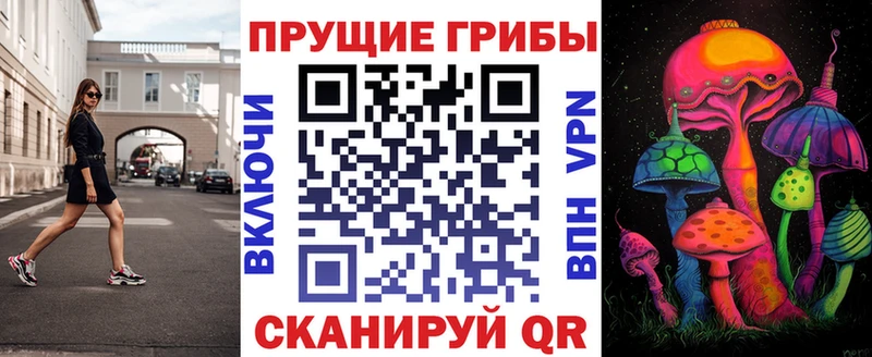 Псилоцибиновые грибы Psilocybine cubensis  OMG сайт  Подольск 